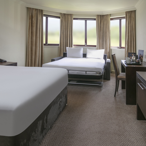 <p>QUEEN FAMILY GUEST ROOM</p>